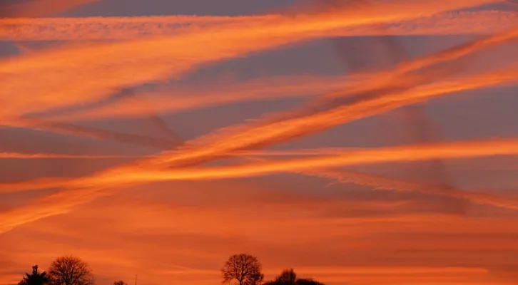 Streifen (Foto: Werner Näf) Streifen (Foto: Werner Näf)