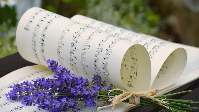 2026_06 Chortreffen_Frauke Riether from Pixabay (Foto: pixabay) 2026_06 Chortreffen_Frauke Riether from Pixabay (Foto: pixabay)
