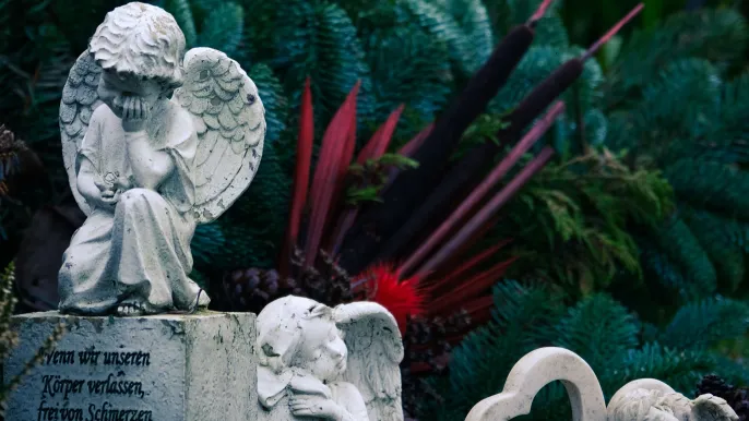 pexels-tahayasiryoney-30572727 (Foto: pexels) pexels-tahayasiryoney-30572727 (Foto: pexels)